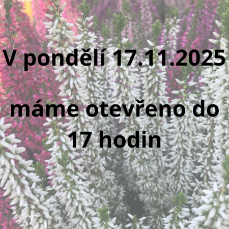 17/11