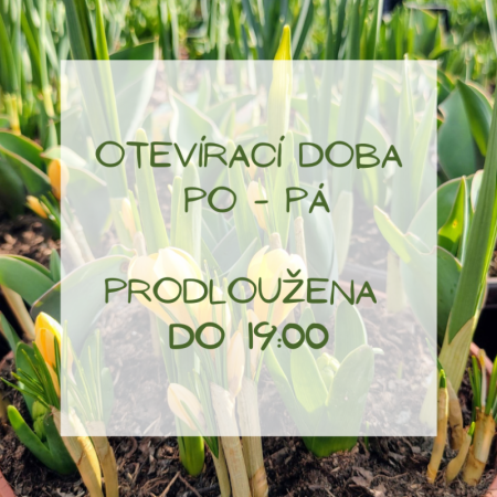 Prodloužená otevírací doba 